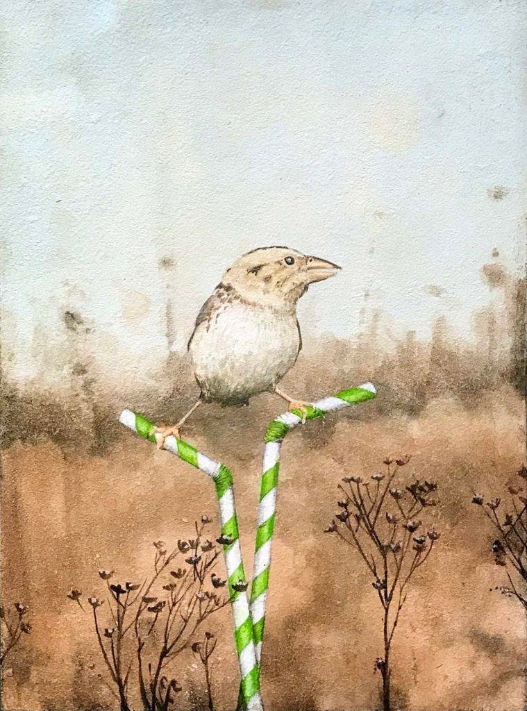 (Henslow's Sparrow) artwork by Mike Lind