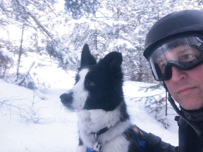 bordercollie (loki) and human (mike lind)
